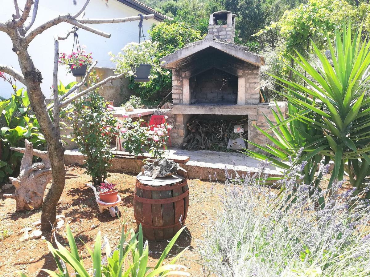 Apartment Amfora